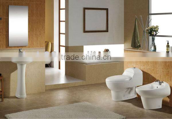 Chinese Public Porcelain Toilet without Cistern