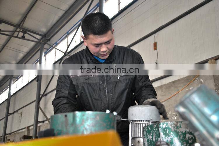 Electric Hoists Scaffold Hoist for Sale