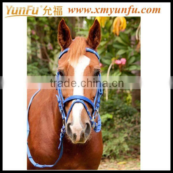 Custom Factory Horse pp halter