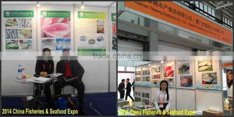 Frozen Indian Mackerel