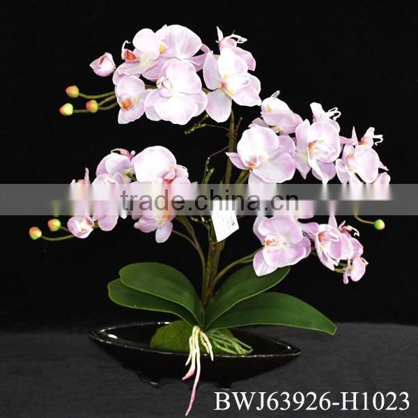 Latest Style High Quality orchid bonsai