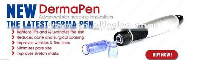 professional dermal pen derma pen electric /dermapen needles micro needle pen for sale