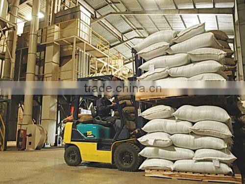 NEW CROP 2016 VIETNAM WHOLE SALE CLEAN ROBUSTA COFFEE BEAN