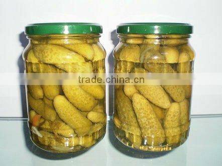 China High quality Canned Pickled Cucumber