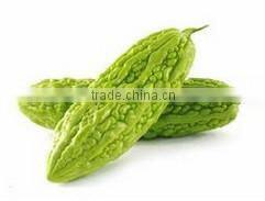 BNP Supply High Quality Bitter Gourd Capsule for you