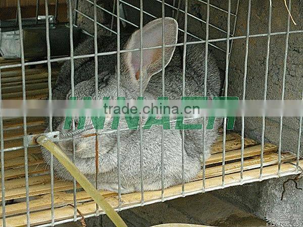 meat rabbit cages(Three layer * Three door)