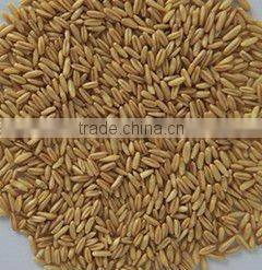 Intelligent multifunction wheat/Seed/Grain color sorter, more stable and more suitable