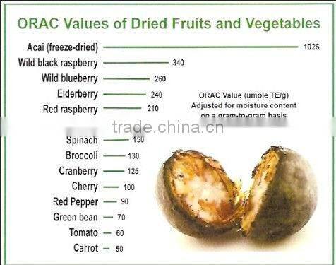 Pure Acai Berry capsue design label