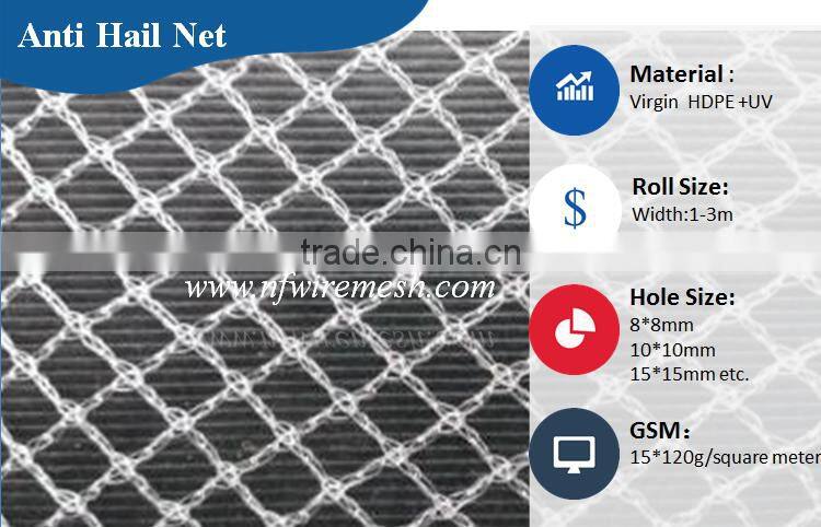 Hdpe net 25 x25 mm mesh hole agricultural bird netting (Guangzhou Factory)
