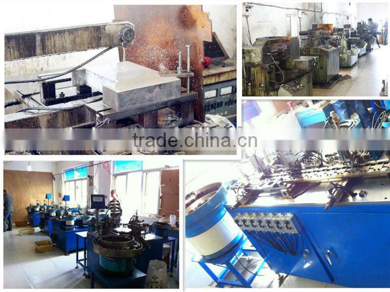 Daier High flat actuator 12v micro with led lamp push button