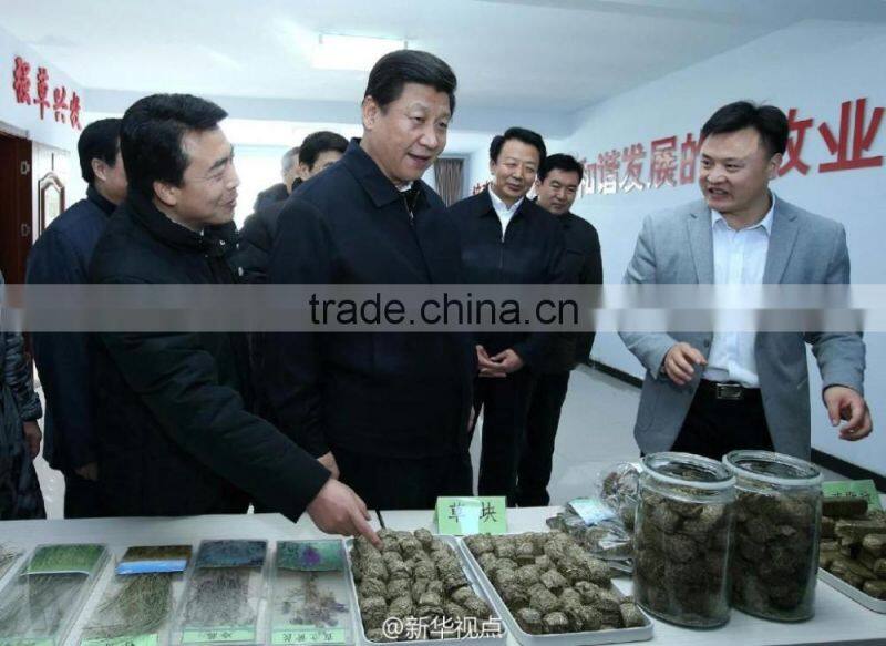 CSPL 2016 ECO Wood Pellet line production for making wood pellets