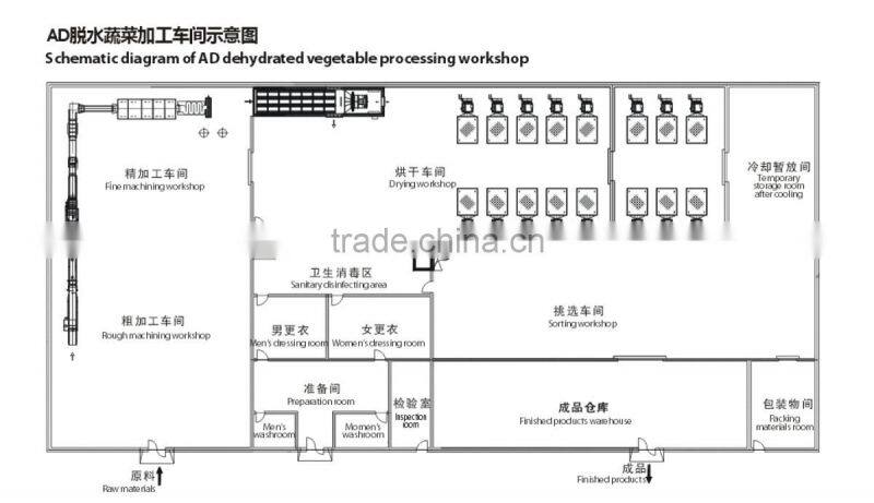 vegetables dehydraton processing line
