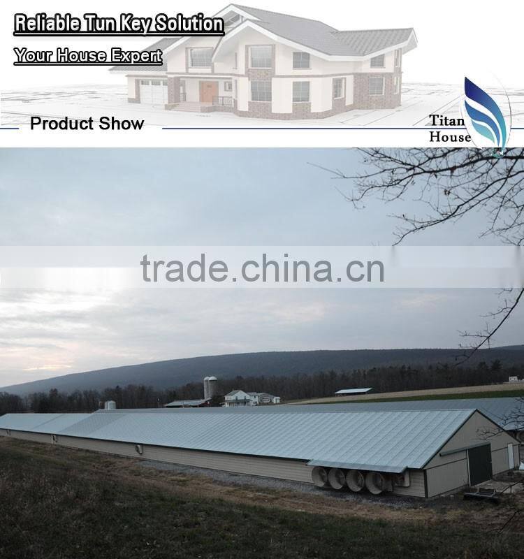 Prefab Cold Formed Steel Chicken Farm/Shed/Building