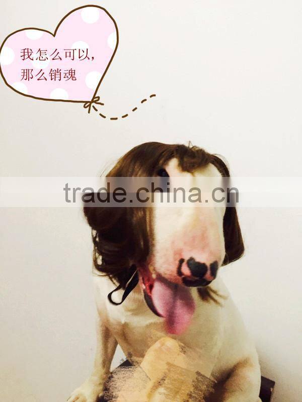 R1941H Lovely Cute dog wig,wigs for dogs,dog wig