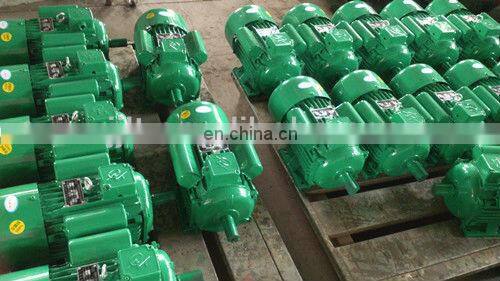 IP44 YC series single-phase induction motor