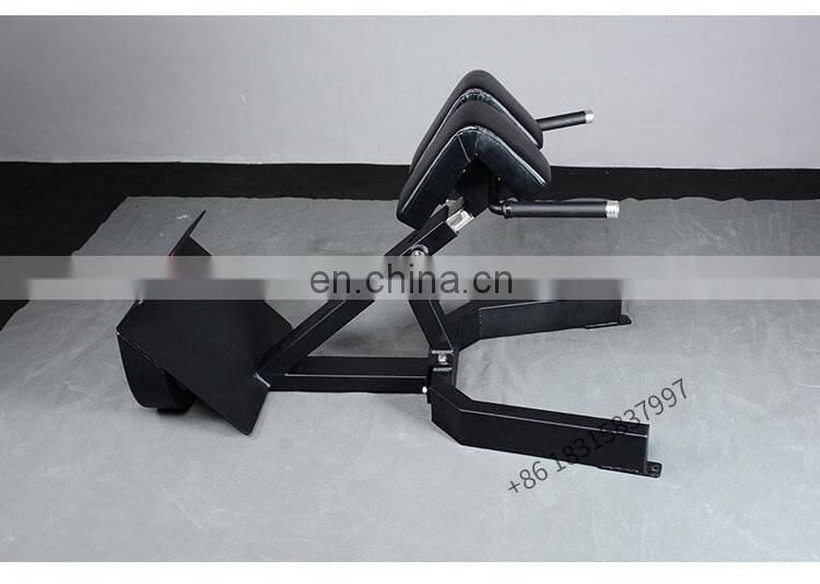 Commercial precor gym equipment bench press workout back extension bench