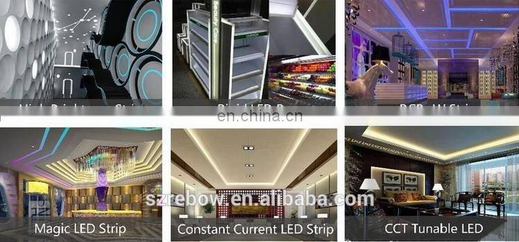 Factory Supply RGBW RGB+CCT RGB+WW+PW(5 in 1)LED Flexible Strip 5050 IP 68 Waterproof