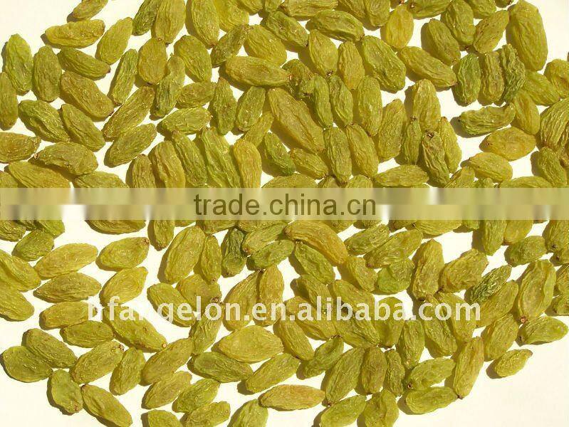 Raisin Color Sorting