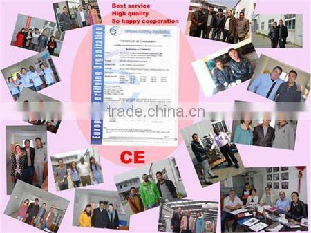 Computer Controller Rice Beans Seeds Pellet Filling Machine 0086-18321225863