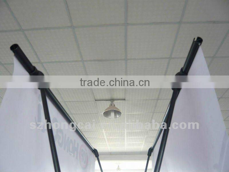 fish type double side show screen