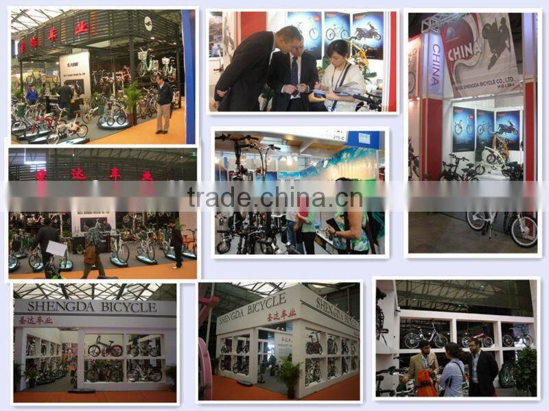 mid motor drive electric bike