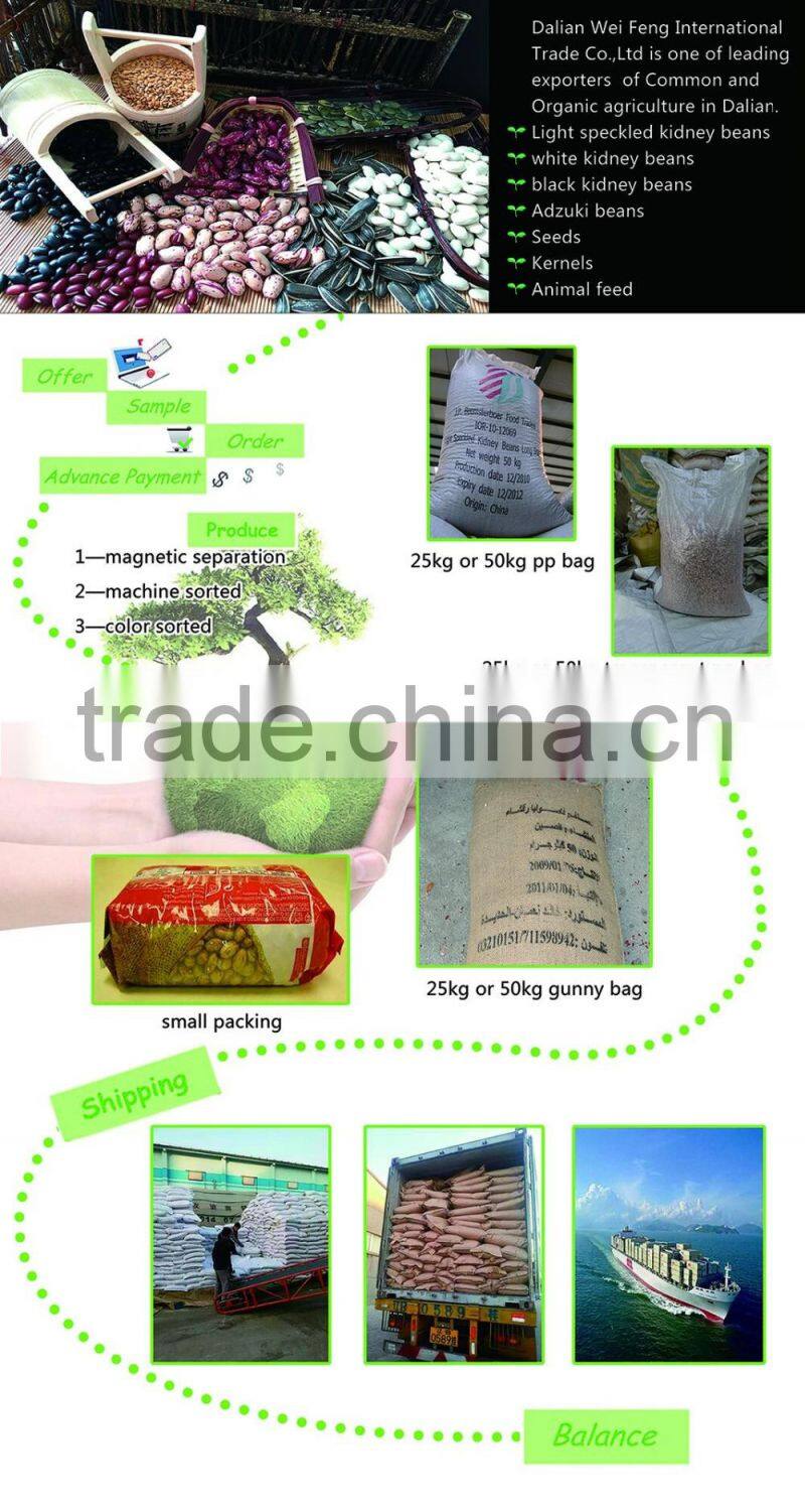 New crop Chinese sunflower seed kernel for export