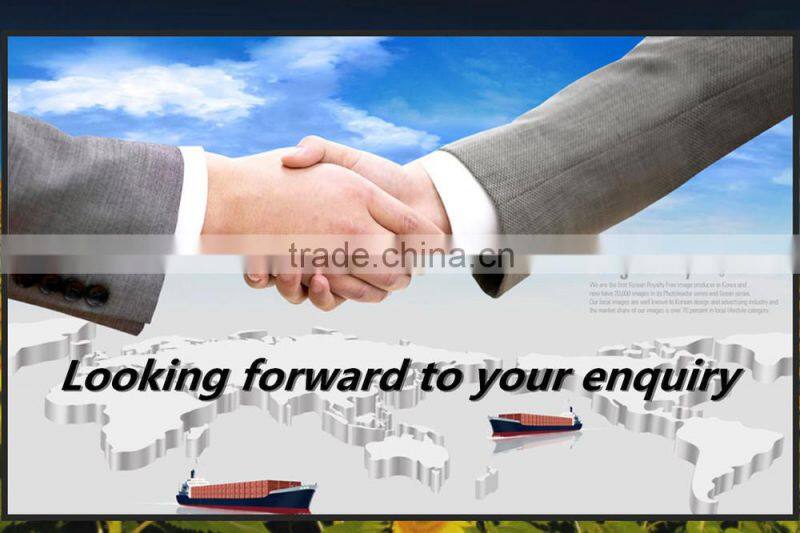 Low Price Shine Skin Pumpkin Seeds 2015 New Crops