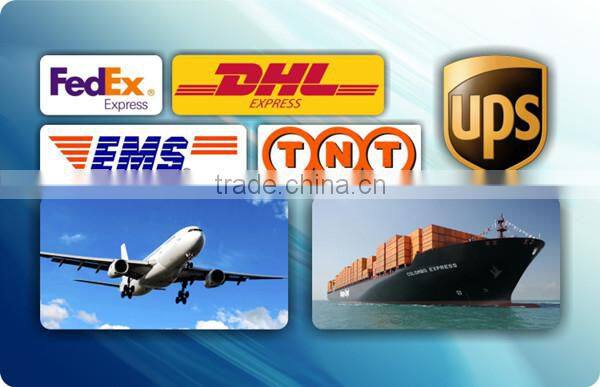 2016 New 700w smart 2 wheel hoverboard 8 inch with LED lights