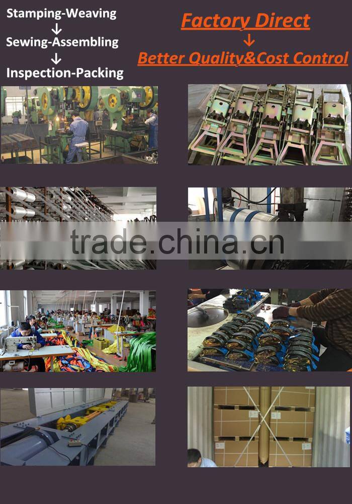 Cam buckle strap/lashing strap 1" X 12'