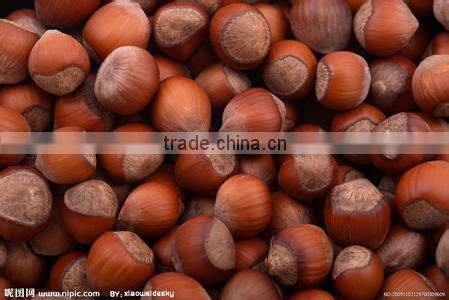 chestnut roaster with high quality 008615638185395