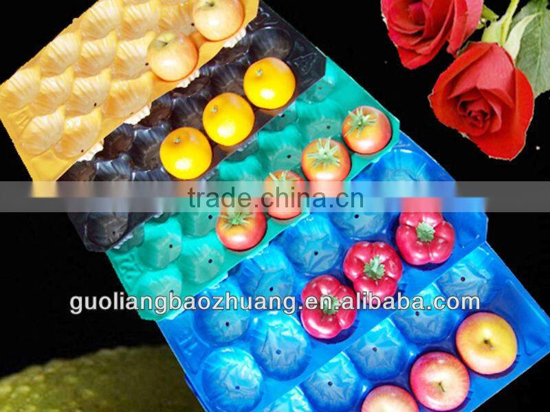 Hot Sale 5LB/10LB/15LB Fresh Tomato Tray Packaging