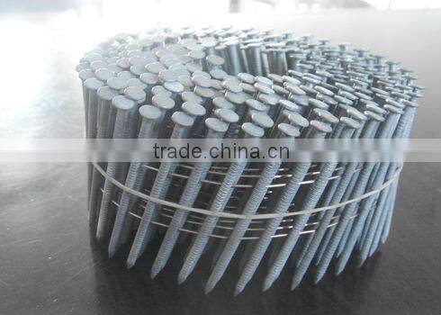 plastic collated high quality steel coil nails(2013)