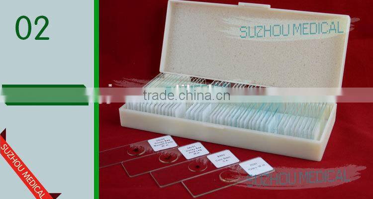 50pieces set primary school study zoology and botany mixed biology slides