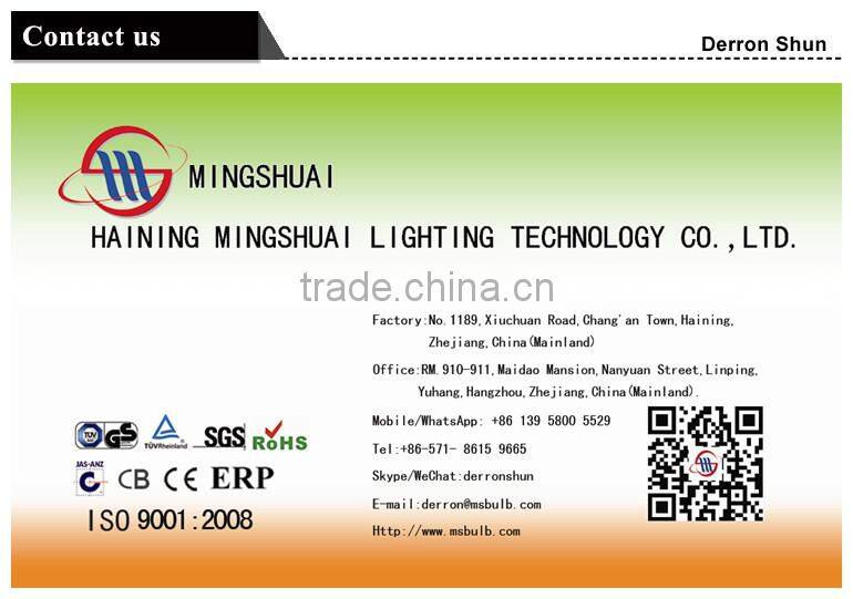 Haining Mingshuai Vintage led filament bulb C35 with plastic light source 2W E14