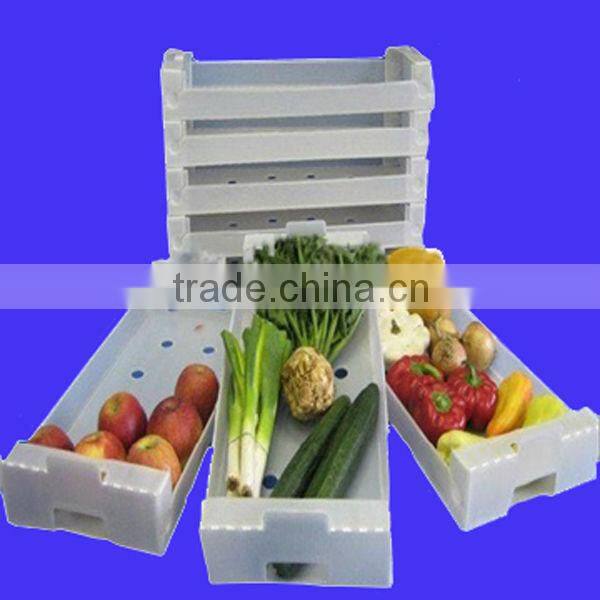 Plastic fruit storage box for keeping fruit fresh