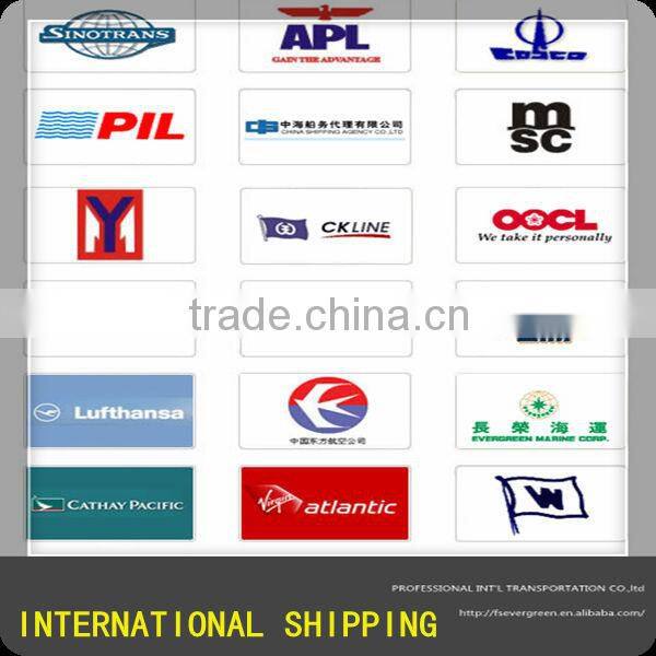 Professional Air Freight Forwarder - International China Air shipping agent
