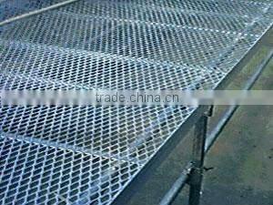 specilized expanded metal plate(manufacture,high quality)