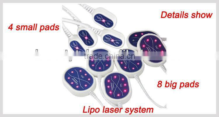 3 in1 high effective cryolipolysis vacuum laser professional slimming machine