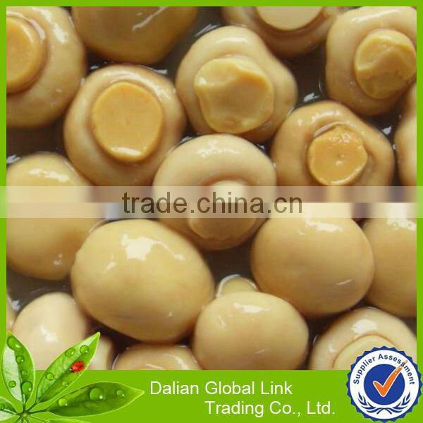 all types of fresh mushroom