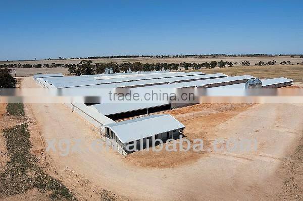 High quality Poultry Broiler and layer house
