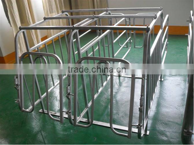 Hot sale pig gestation crates