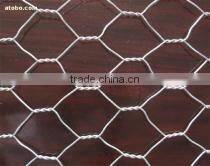 chain link Mesh Fence (ISO9001 factory dirctor)