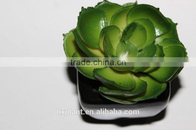 artificial mini succulents