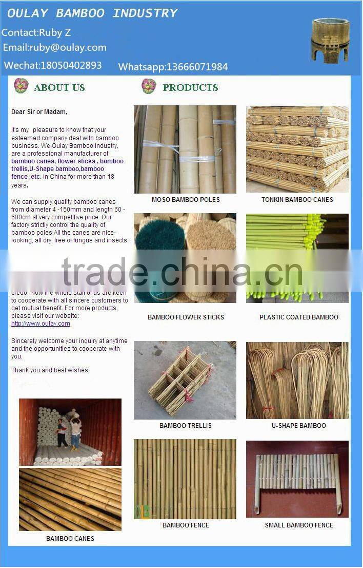 26~28mm tonkin bamboo poles/raw bamboo material/bamboo canes