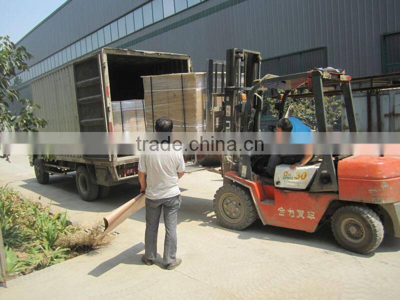 Diamond Dotted Paper ( DDP)