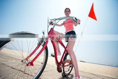 Custom bicycle flag inkjet printing