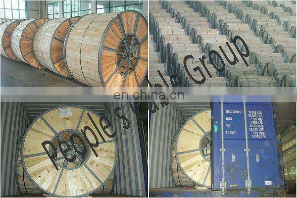 Chinese manufacture Various standards and specifications AAAC/ACSR/ACAR conductor