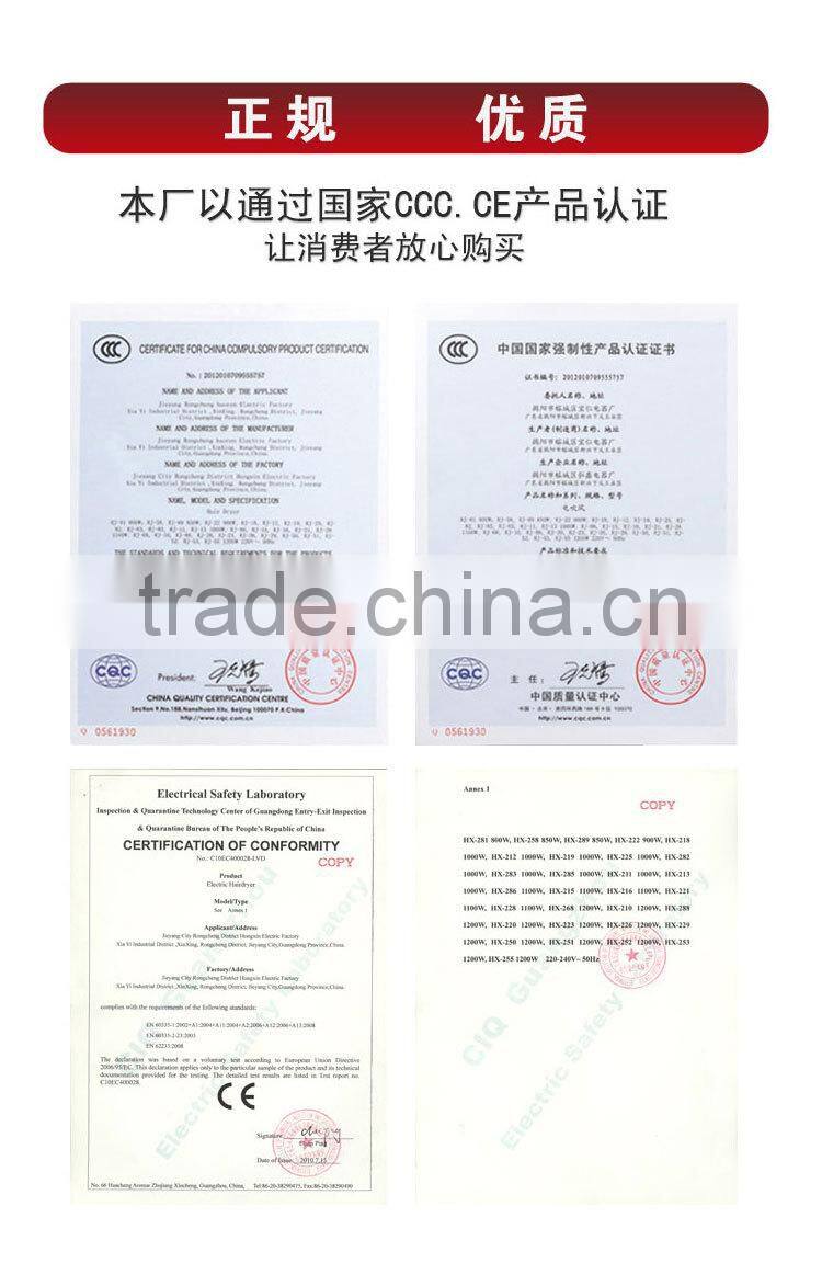 Beauty Salon Multifunction Hair Dryer High Temperature Cold Shot Zhentai Hair Dryer