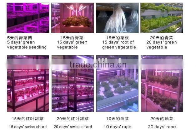 500kg animal fodder hydroponics