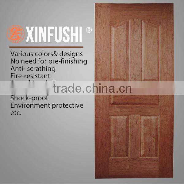 new design door skin